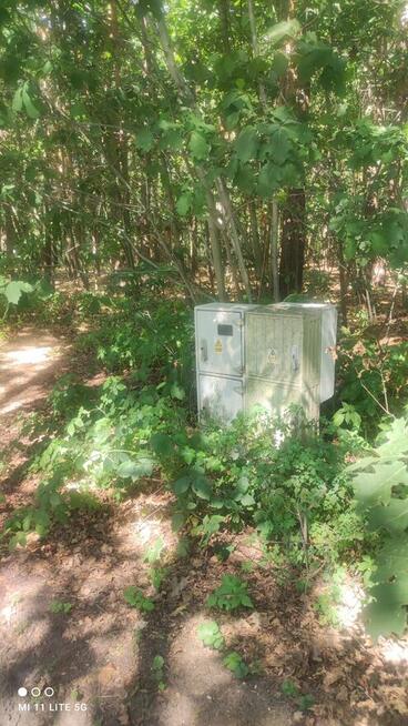 Sprzedam piękną leśną działkę budowlaną