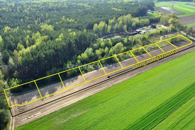 Działki budowlane w Dylewie