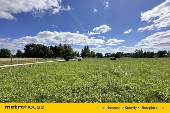 Działka w Odrzykoniu