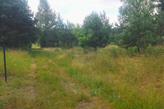 Działka rolno-leśna