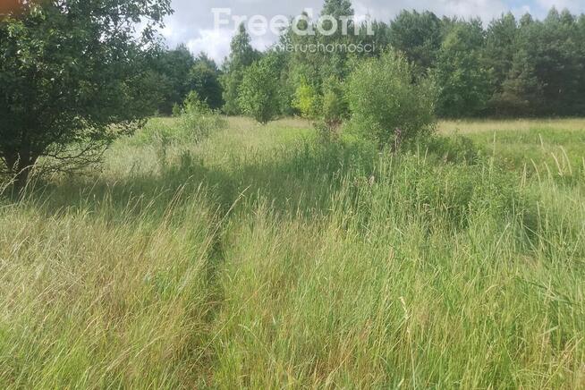 Działka rolno-leśna