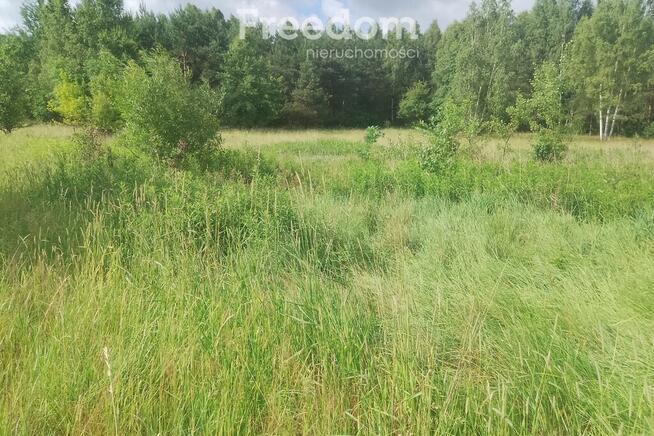 Działka rolno-leśna