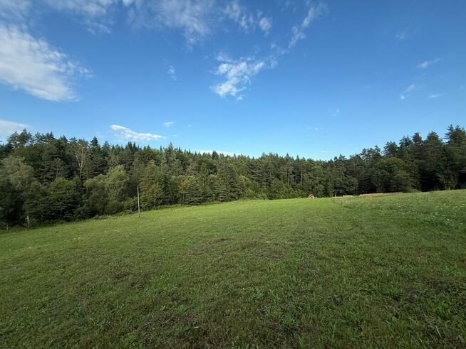 Duża działka budowlana w Bieszczadach