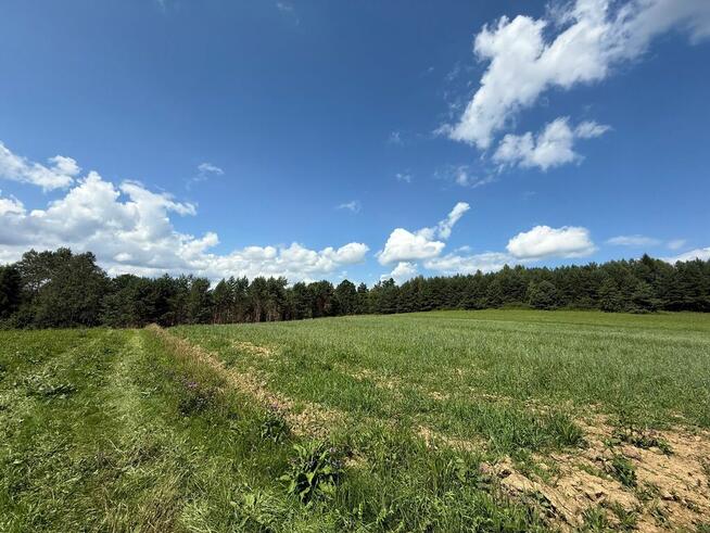 Budowlana działka z lasem w Bieszczadach!