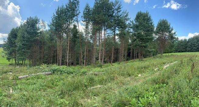 Budowlana działka z lasem w Bieszczadach!