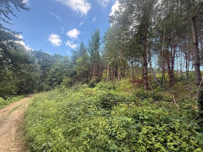 Budowlana działka z lasem w Bieszczadach!