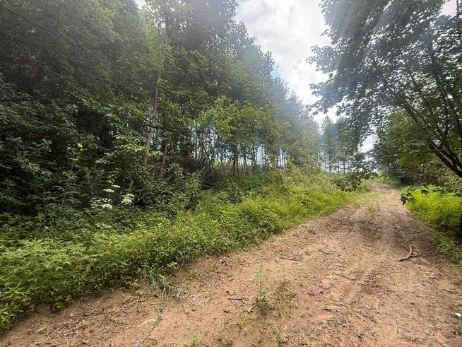 Budowlana działka z lasem w Bieszczadach!