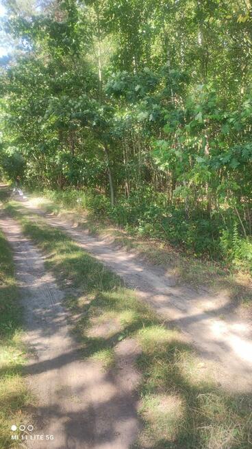 Sprzedam piękną leśną działkę budowlaną