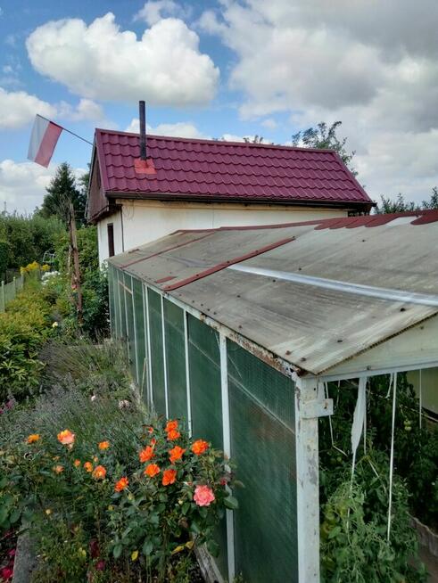 Sprzedam dzialke. Rodzinne. Ogrody działkowe Legnica
