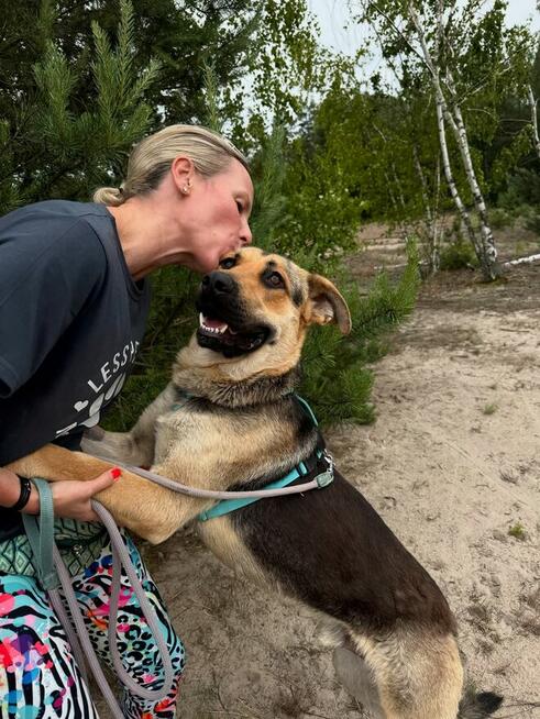 Magnus - młodziutki, wesoły psiak szuka domu!