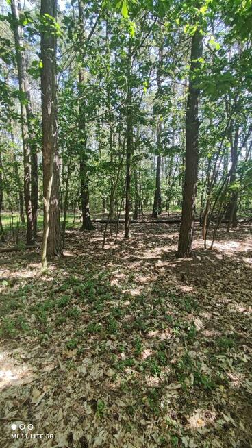 Sprzedam piękną leśną działkę budowlaną