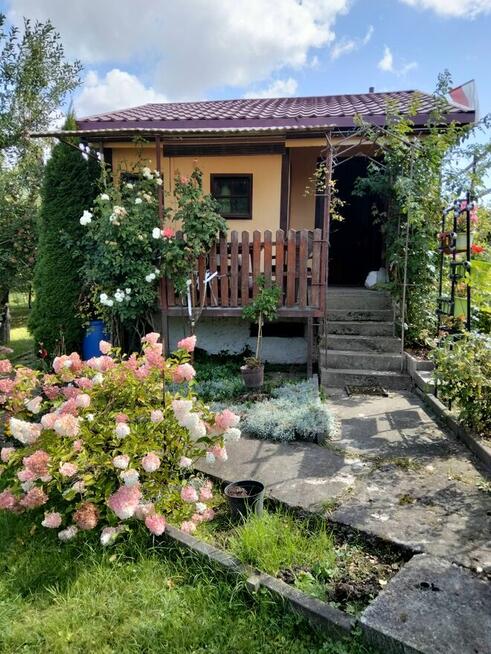 Sprzedam dzialke. Rodzinne. Ogrody działkowe Legnica