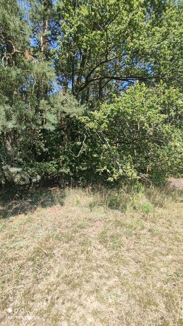 Sprzedam piękną leśną działkę budowlaną