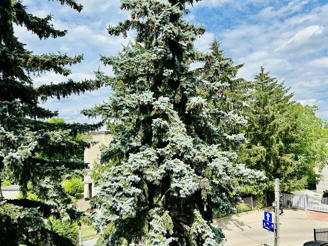 Nowy lokal! Promocyjna cena!