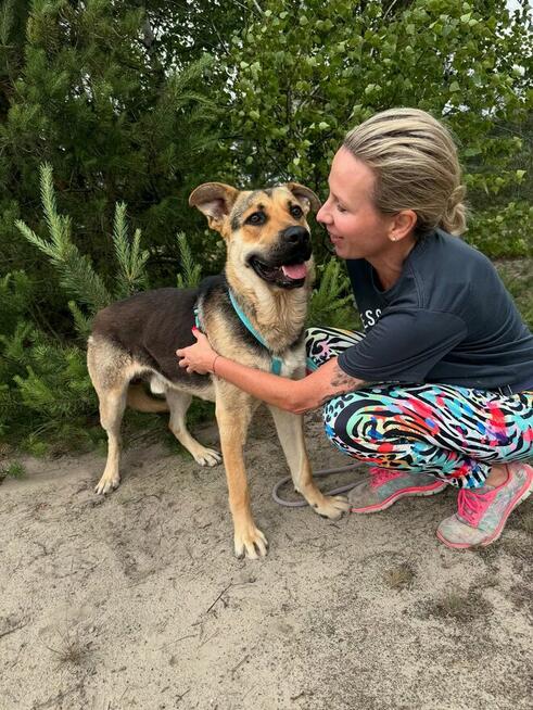 Magnus - młodziutki, wesoły psiak szuka domu!