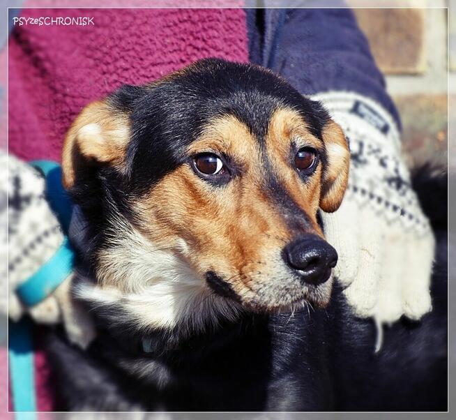 Cyryl – ufny młodziak pójdzie z Tobą na koniec świata