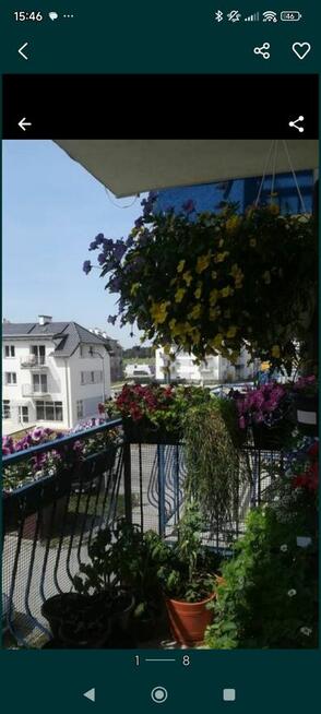 Mieszkanie bezczynszowe dwupokojowe Polkowice