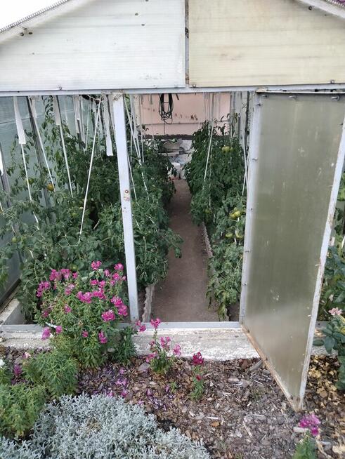 Sprzedam dzialke. Rodzinne. Ogrody działkowe Legnica