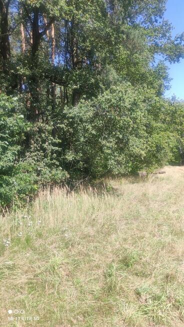 Sprzedam piękną leśną działkę budowlaną