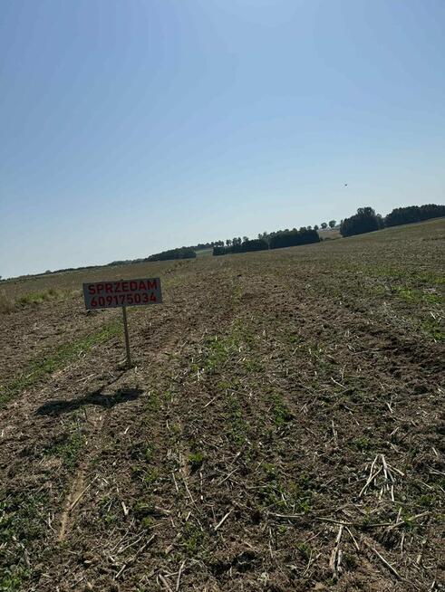 Sprzedam działkę rolną o powierzchni 2,03 ha