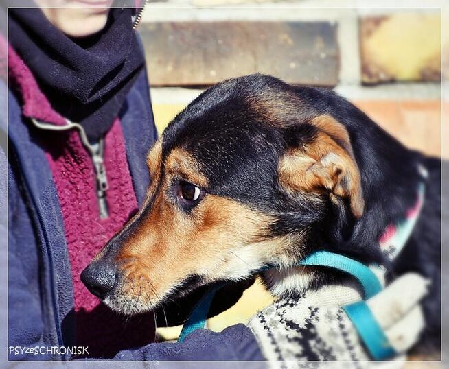 Cyryl – ufny młodziak pójdzie z Tobą na koniec świata