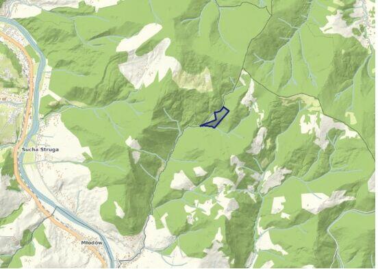 Do sprzedania las o powierzchni 4 ha jodłowy z kilkoma bukam