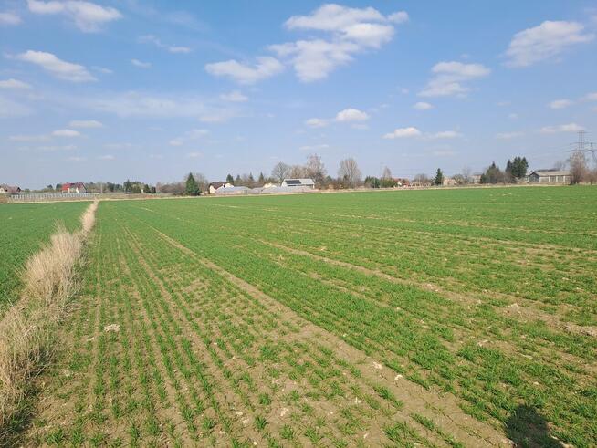 DZIAŁKA ZAWADA k. ZAMOŚĆ rolno-budowlana woj. lubelskie, spr