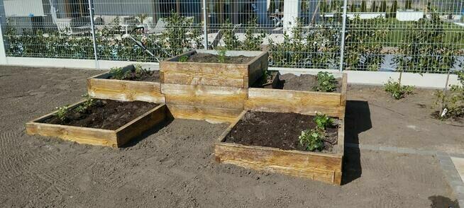 Wykonam Usługi Ogrodnicze