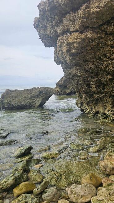 PENSJONAT POD DZIALALNOSC TURYSTYCZNA-MORZE