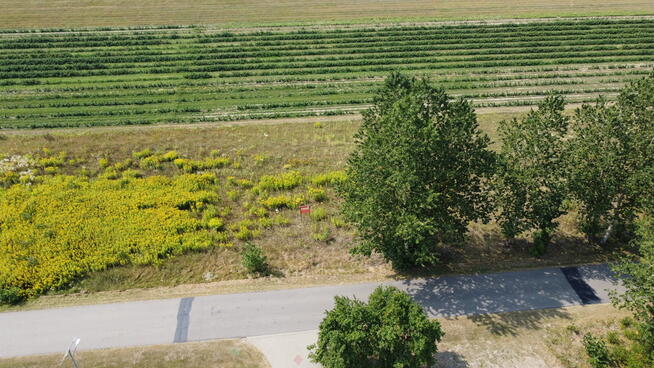 Działka 2940 m2 z WZ w Przyłęku pow. Zwoleń.