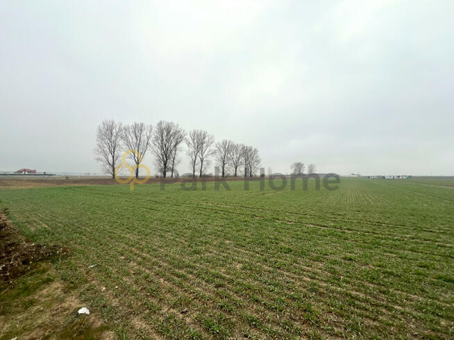 Działka inwestycyjna Święciechowa,