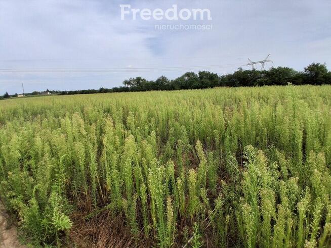 Działka budowlana w Handlowym Młynie