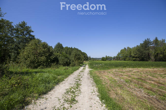 Działka z warunakmi zabudowy 62,97 ar Dynów