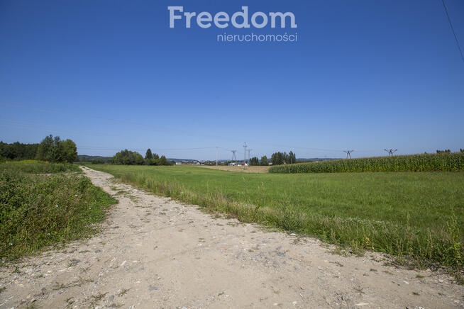 Działka z warunakmi zabudowy 62,97 ar Dynów