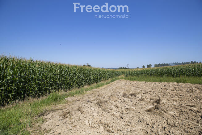 Działka z warunakmi zabudowy 62,97 ar Dynów