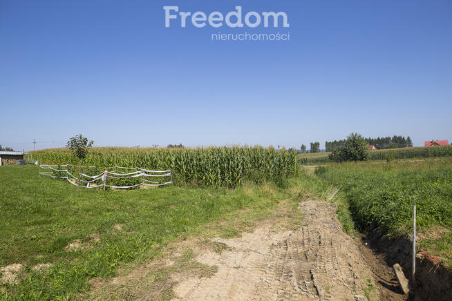 Działka z warunakmi zabudowy 62,97 ar Dynów