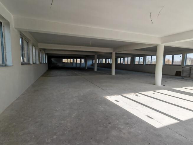 Hala handlowo-usługowa w centrum Bełchatowa