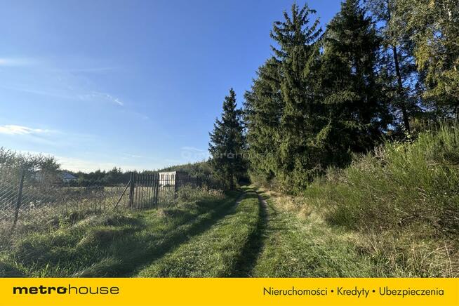 Działka leśna 3003 m², tylko 1400 m od morza!