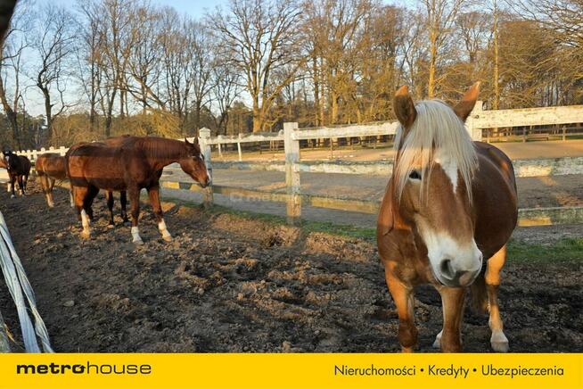 Działka rekreacyjno- budowlana ok 12 km od morza.