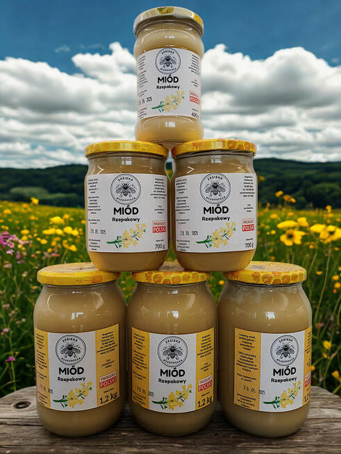Miód rzepakowy 700 g z Pojezierza Wałeckiego - Pasieka Włoda