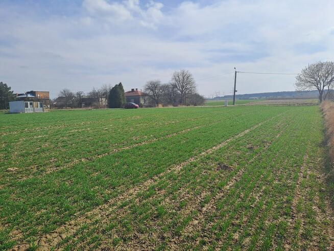 DZIAŁKA ZAWADA k. ZAMOŚĆ rolno-budowlana woj. lubelskie, spr