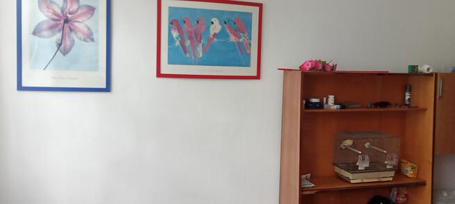 Kawalerka 6 km od morza, Krokowa Centrum, super lokalizacja