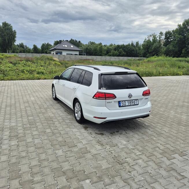 Volkswagen Golf VII 1.5 TSI 2019 r
