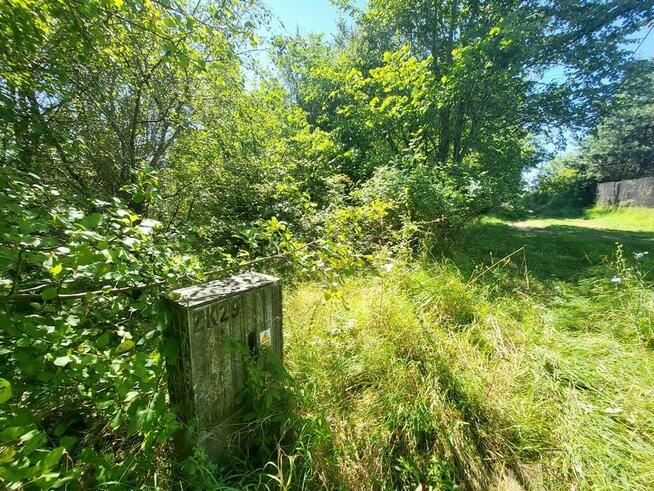 DZIAŁKA BLISKO JEZIORA!