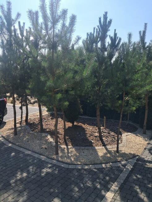 Sprzedam dom jednorodzinny