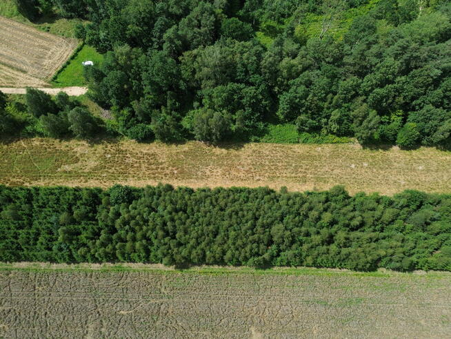 DZIAŁKI ROLNE Z MOŻLIWOŚCIĄ ZABUDOWY w HUCIE KUFLEWSKIEJ