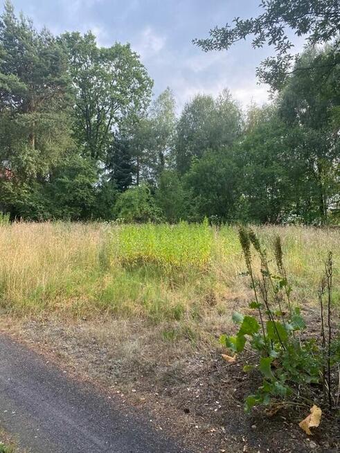 Sprzedam działkę buowlaną