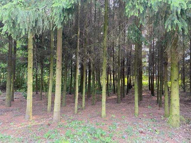 Sprzedam działkę buowlaną