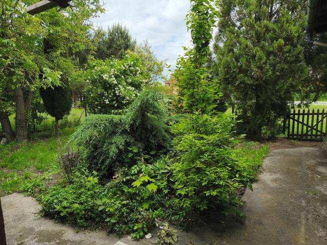 Dom w zielonej i spokojnej miejscowości