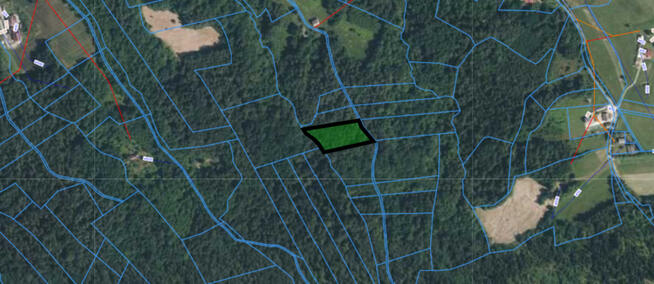 Działka leśna- Olszowa-Zakliczyn -Małopolska